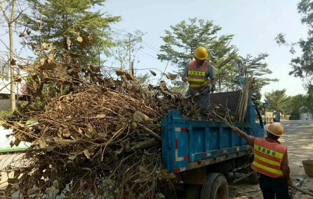 政策加持下，“綠化垃圾處理”能否成為環衛行業下一個“風口” ？